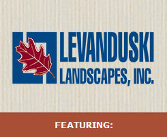 Levanduski Landscapes logo